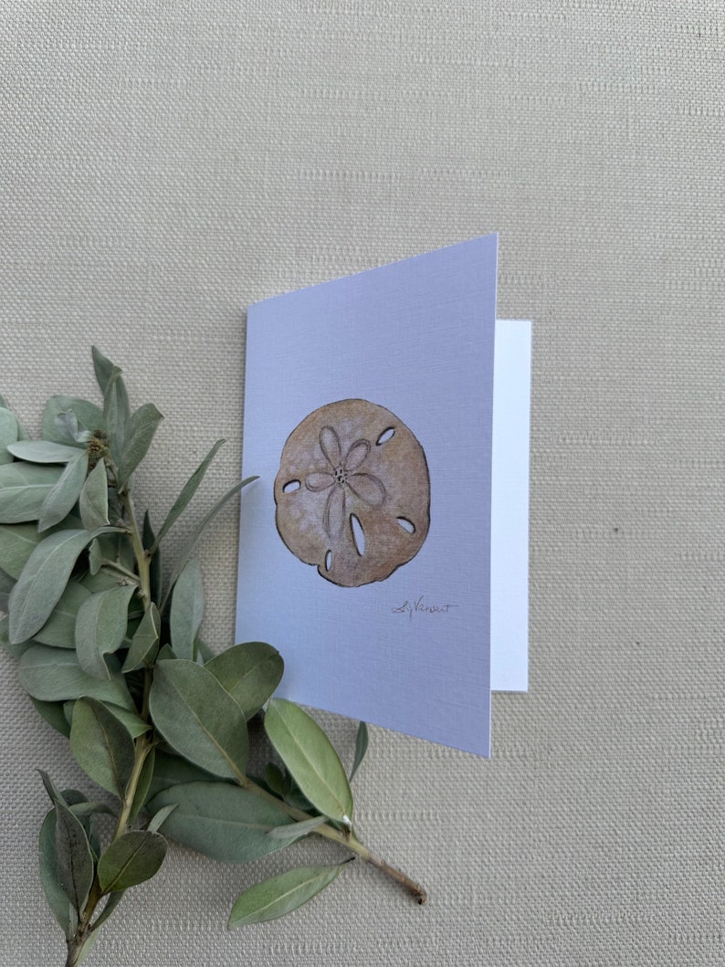Sand dollar Greeting Cards, Pack of 3, Blank Inside, 4.25 x 5.5 image 8