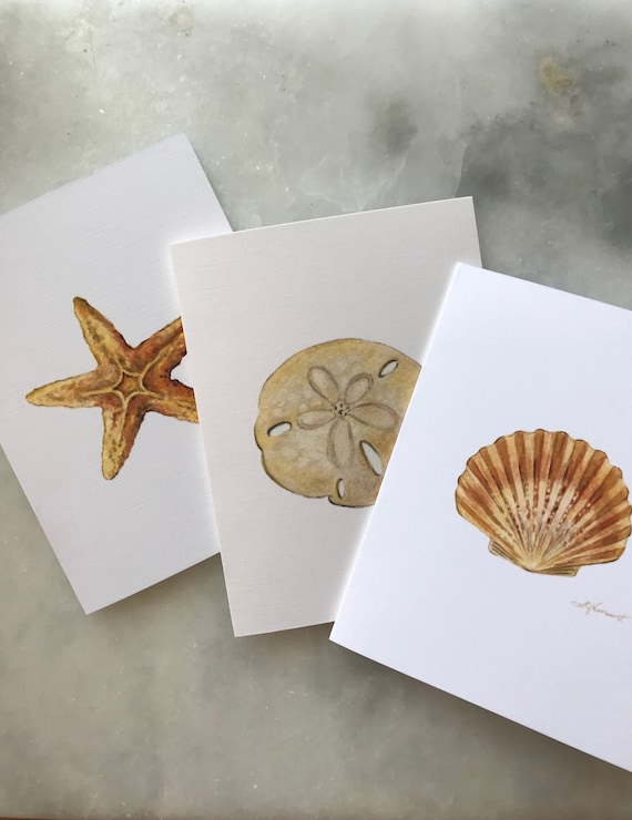 4-Pack Youre a Star Greeting Card Sea Shells /& Starfish