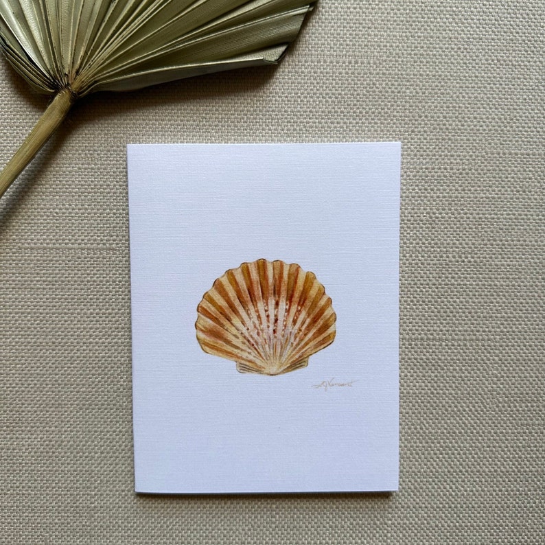 May include: A watercolor painting of a seashell on a white background. The shell is a light brown color with a darker brown pattern.