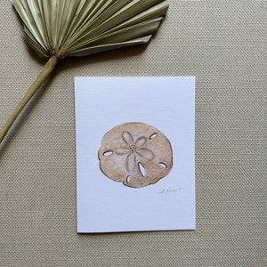 May include: A watercolor painting of a sand dollar on a white background. The sand dollar is light brown with a five-pointed star in the center.
