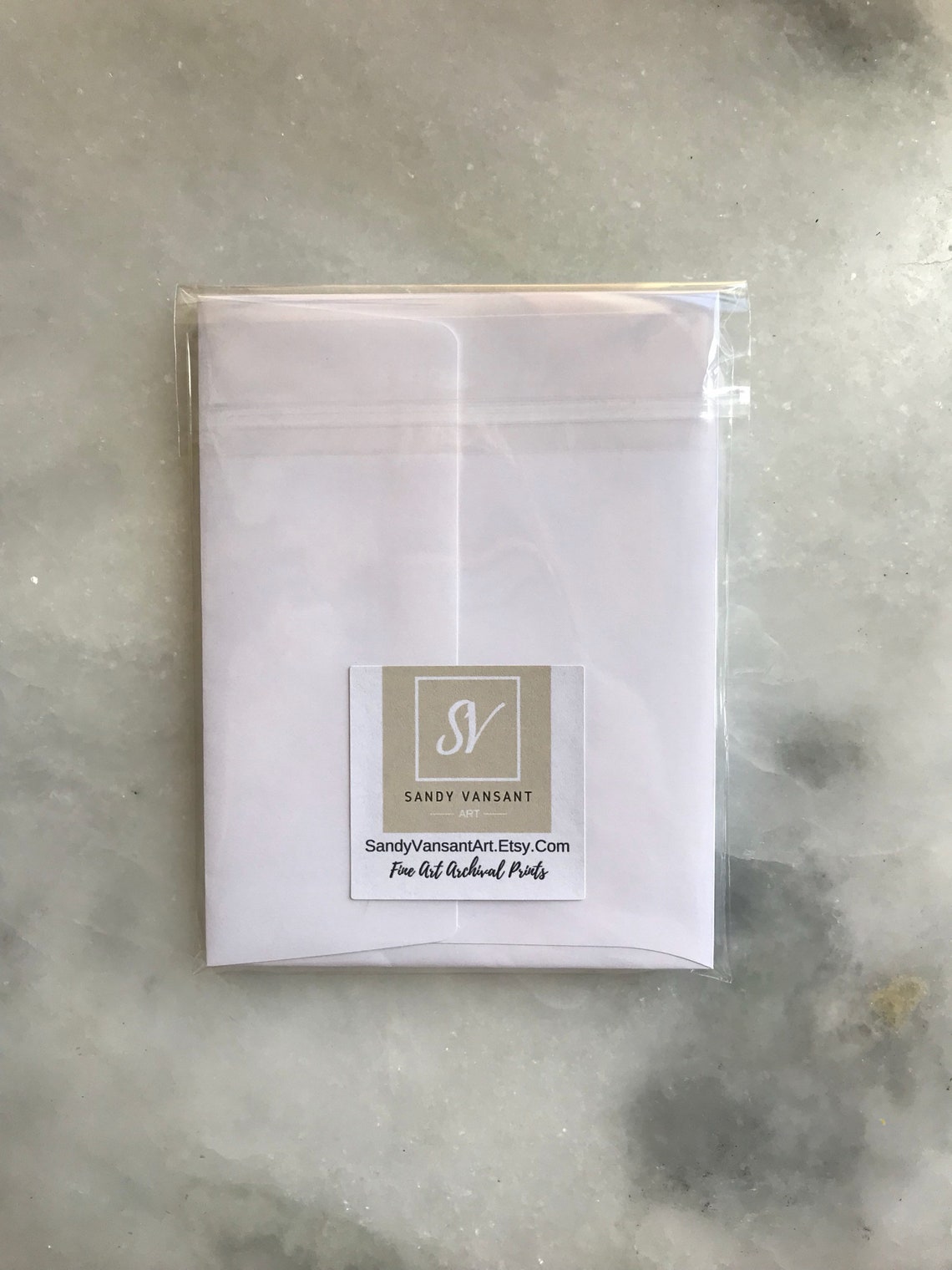 Sand Dollar Greeting Cards Pack of 4 Blank Inside Etsy