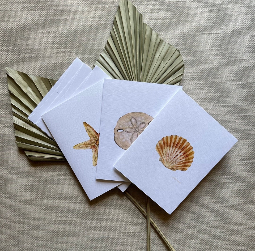Greeting Cards Set of 3, Sand Dollar Starfish and Sea Shell Cards, 4.25 ...