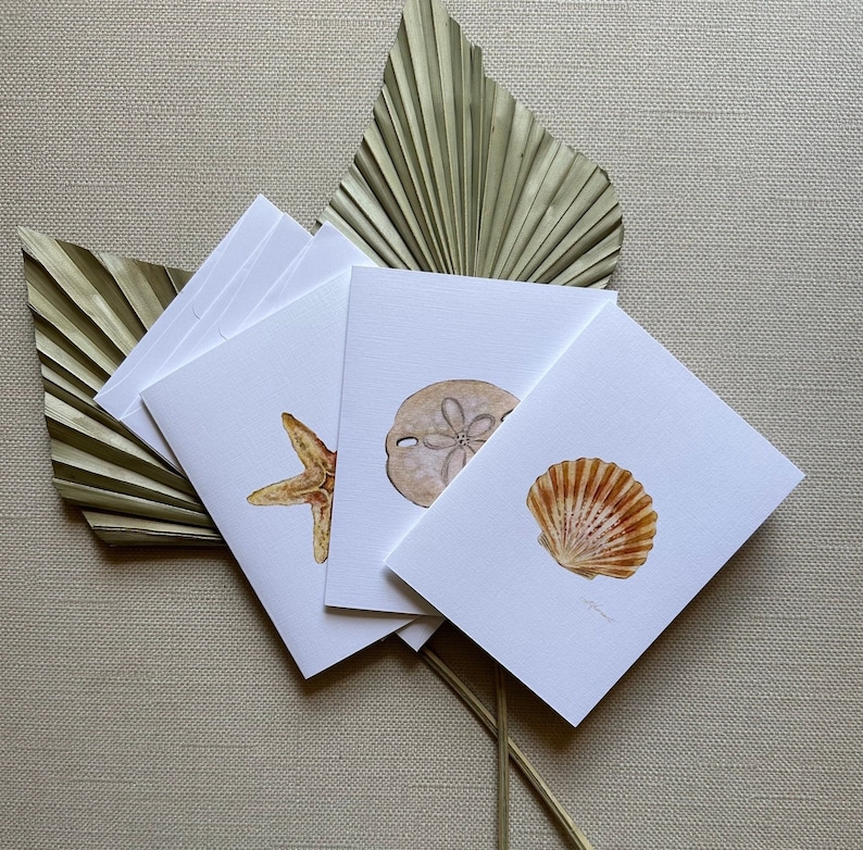 May include: Four blank white cards with watercolor illustrations of a starfish, a sand dollar, and a scallop shell. The cards are arranged in a fan shape on top of a dried palm leaf.