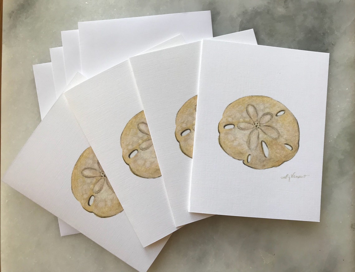 Sand Dollar Greeting Cards Pack of 4 Blank Inside Etsy