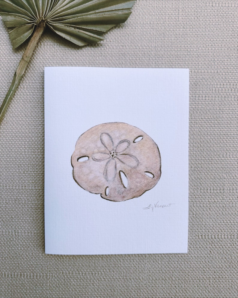 Sand dollar Greeting Cards, Pack of 3, Blank Inside, 4.25 x 5.5 image 2