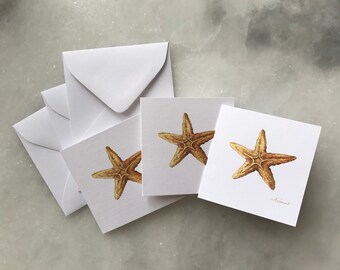 Starfish Folded Gift Enclosure Cards, 3 Pack Square Gift Tags, Mini Card Set or Favor Cards, 2.75" Starfish Cards
