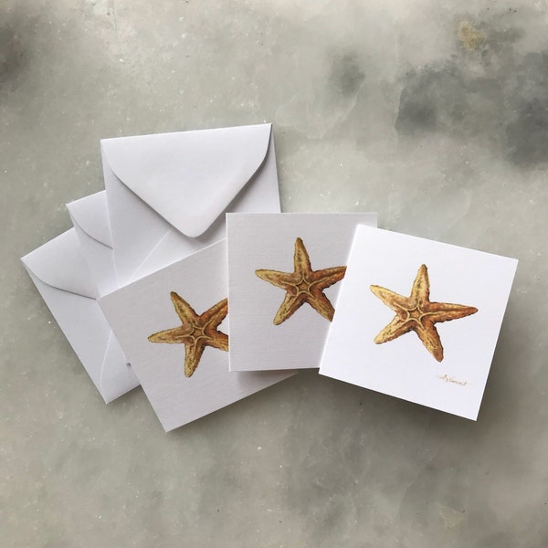 Starfish Gift Enclosure Cards, 3 Pack Square Gift Tags, Mini Card Set or Favor Cards, 2.75" Starfish Cards