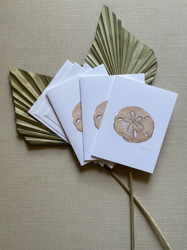 Sand dollar Greeting Cards, Pack of 3, Blank Inside, 4.25 x 5.5 image 1