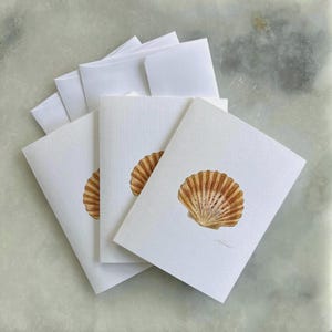 May include: A set of white greeting cards with matching envelopes. Each card features a watercolor illustration of a brown and tan seashell. The cards are arranged on a light gray surface.