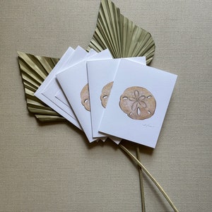 Sand dollar Greeting Cards, Pack of 3, Blank Inside, 4.25 x 5.5 image 6