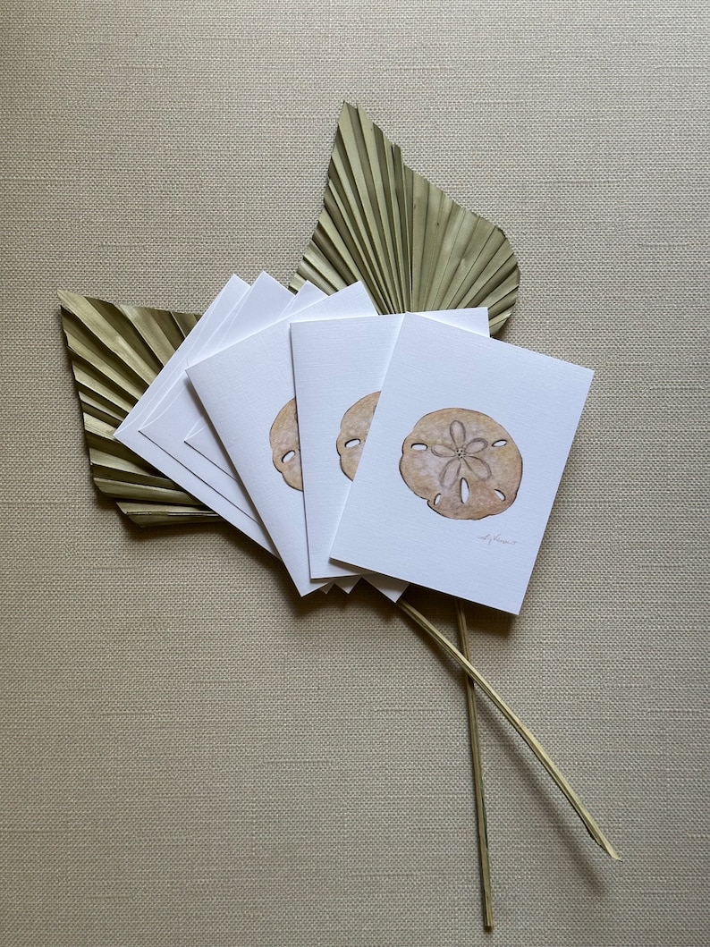 Sand dollar Greeting Cards, Pack of 3, Blank Inside, 4.25 x 5.5 image 6