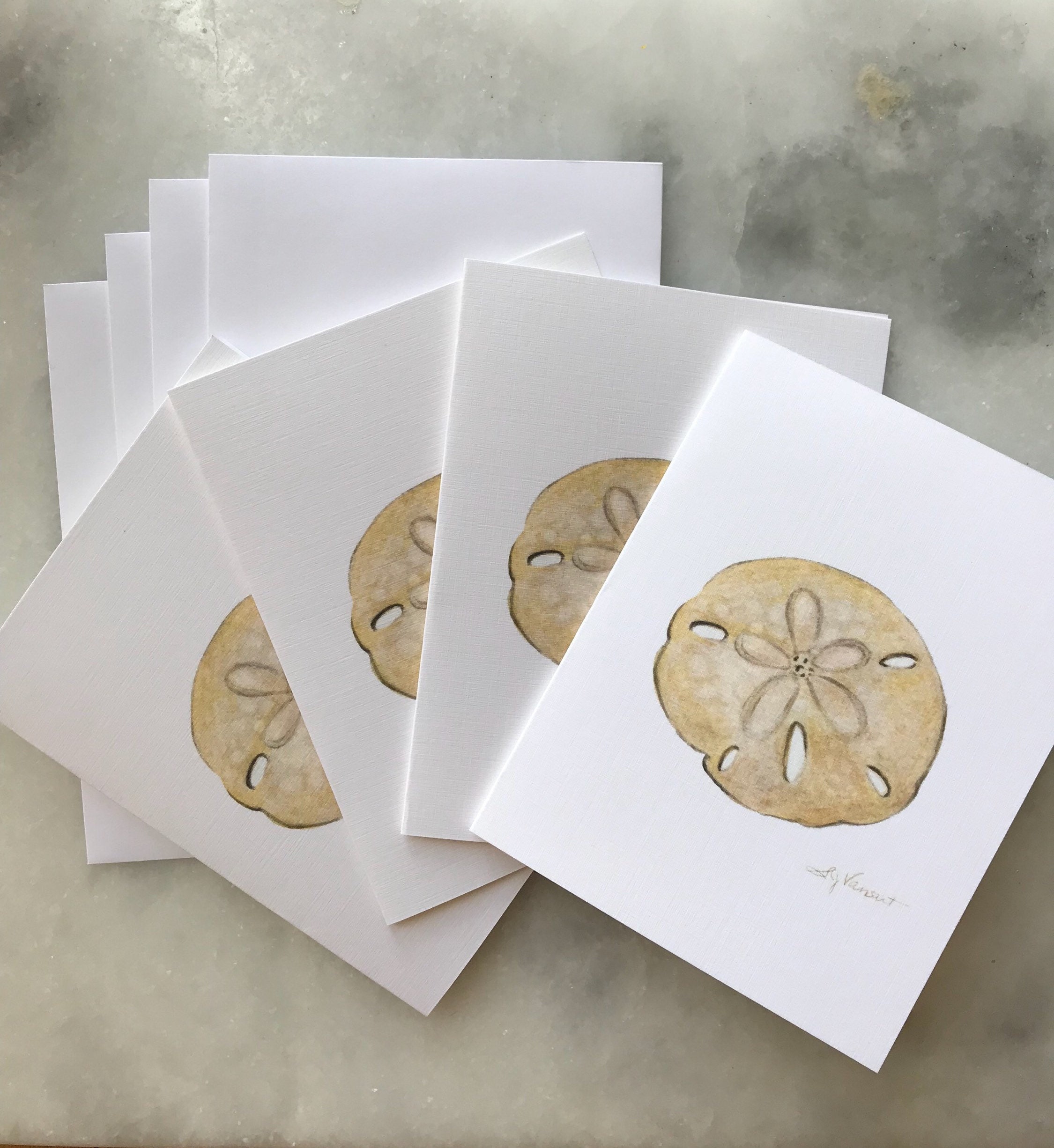 Sand Dollar Greeting Cards Pack of 4 Blank Inside Etsy