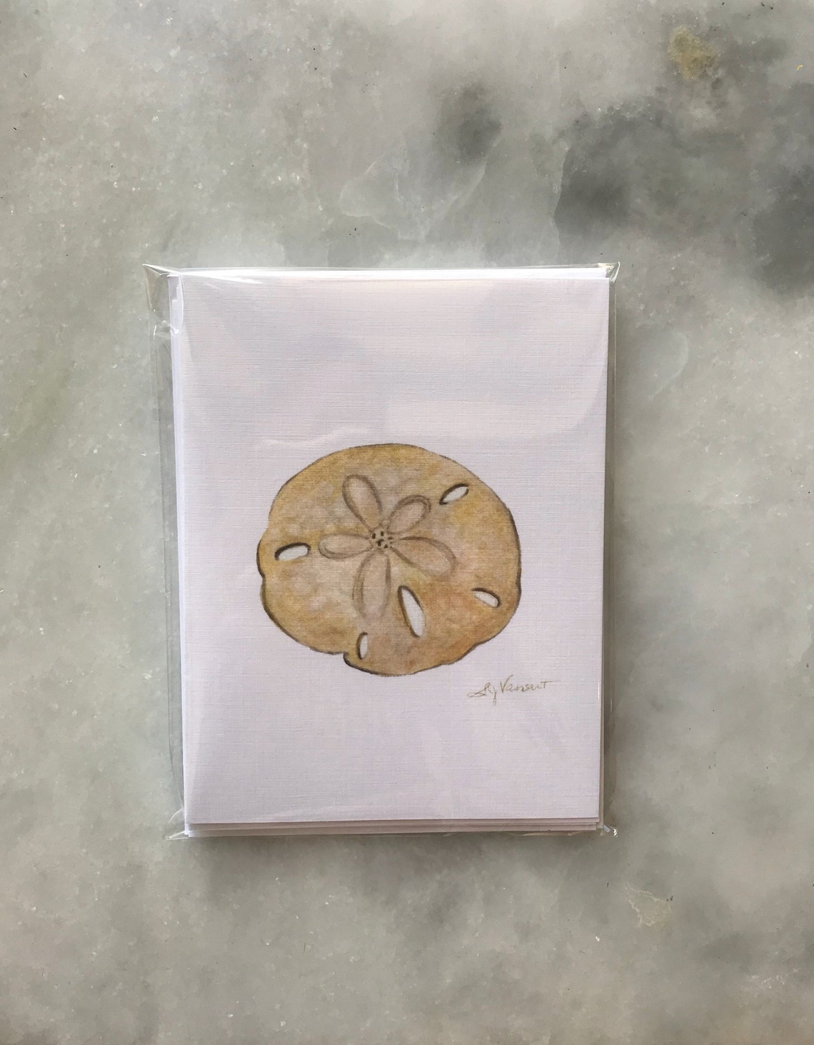 Sand Dollar Greeting Cards Pack of 4 Blank Inside Etsy