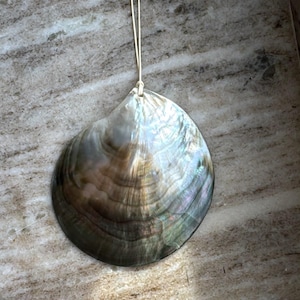 May include: A large, iridescent seashell pendant suspended from a thin, light-colored cord. The shell features a smooth, polished surface with swirling shades of dark brown, gray, and shimmering pearlescent highlights throughout its rounded form.