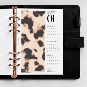 Set of 4 Quarterly Dividers | Planner Inserts | A5, A6, Personal, Half Letter Dashboards | Elavae Home Signature Collection
