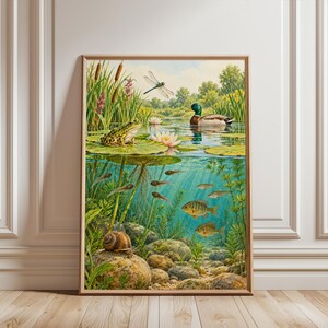 Op de afbeelding: Een ingelijste verticale wandkunstprint die een vijverecosysteem weergeeft. Het bovenste gedeelte toont een groene kikker op een waterlelieblad, een wilde eend en een libel. Het onderste onderwatergedeelte toont kikkervisjes, kleine vissen en een slak.