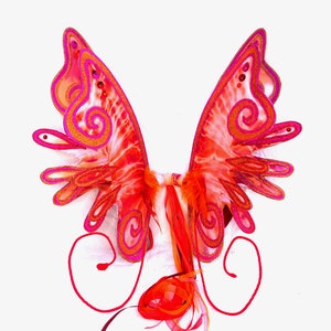May include: A pair of red and pink fairy wings with gold glitter accents. The wings are made of fabric and have a wire frame. The wings are attached to a red ribbon.