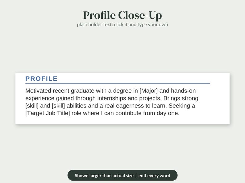 Puede incluir: Una plantilla de curr&iacute;culum digital con el encabezado Profile Close-Up y el texto de marcador de posici&oacute;n: click it and type your own. Debajo hay un cuadro blanco con el t&iacute;tulo PROFILE y texto sobre un graduado reciente buscando empleo.