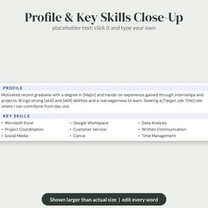 K&ouml;nnte beinhalten: Eine Lebenslaufvorlage mit der &Uuml;berschrift Profile & Key Skills Close-Up, Platzhaltertext f&uuml;r ein berufliches Profil und eine Aufz&auml;hlung von F&auml;higkeiten wie Microsoft Excel, Google Workspace, Data Analysis und Project Coordination.