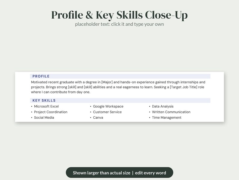 K&ouml;nnte beinhalten: Eine Lebenslaufvorlage mit der &Uuml;berschrift Profile & Key Skills Close-Up, Platzhaltertext f&uuml;r ein berufliches Profil und eine Aufz&auml;hlung von F&auml;higkeiten wie Microsoft Excel, Google Workspace, Data Analysis und Project Coordination.