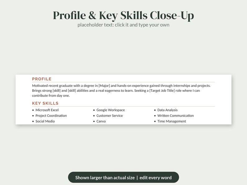 May include: A resume template section titled Profile & Key Skills Close-Up with placeholder text. It includes a Profile paragraph and a bulleted list of skills such as Microsoft Excel, Google Workspace, Data Analysis, and Project Coordination.