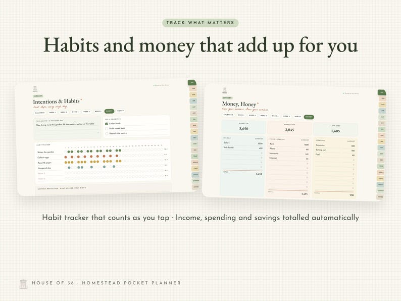 May include: A digital planner interface featuring two screens labeled Intentions & Habits and Money, Honey. The layout includes habit trackers with colored dots, financial columns for income, spending, and savings, and side navigation tabs.