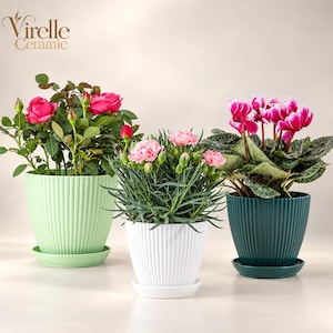 Pode incluir: Três vasos de plantas em cerâmica canelada da Virelle Ceramic nas cores verde claro, branco e verde escuro, cada um com um pires a condizer. Os vasos contêm rosas cor-de-rosa, cravos cor-de-rosa e ciclames com folhagem verde.