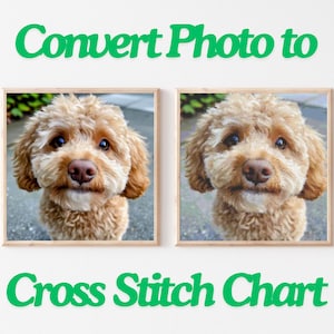 May include: Two framed photos of a brown and white dog with a fluffy coat. The dog is looking at the camera with a sweet expression. The photos are side-by-side and have a wooden frame.