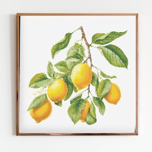 Patrón de bordado moderno de costura de punto de cruz de limones botánicos Descarga instantánea de DMC Ramo de flores para principiantes