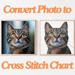 May include: Two framed cat portraits, one with a blurred background and the other on a white background. The cats have brown and grey tabby markings and yellow eyes. The text "Convert Photo to Cross Stitch Chart" is in orange.