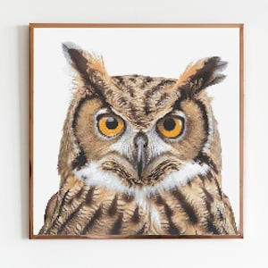 May include: A close-up of an owl with brown and white feathers. The owl has large, bright yellow eyes and a sharp beak. The owl is looking directly at the camera.