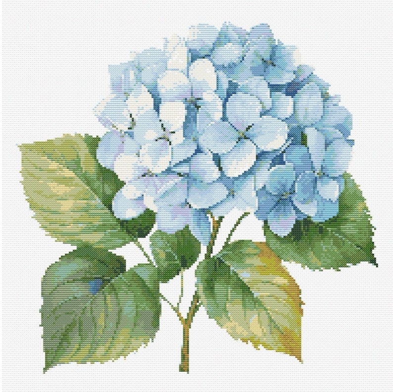 Blue Hydrangea Botanical Cross Stitch Sewing Modern Embroidery Pattern Instant DMC Download Bunch of Flowers Beginner Garden Plants Botanist image 2