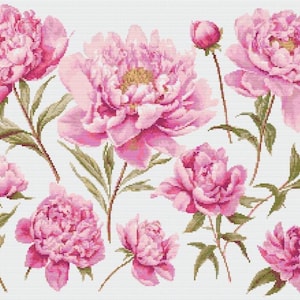 Roze pioenrozen botanische kruissteek naaien modern borduurpatroon Instant DMC download bos bloemen beginner pioen