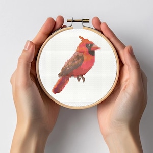 Roter Kardinal Mini Kreuzstich Stickmuster DMC Vogel Bauernhof Wald Garten Vögel Weihnachten Kardinal Weihnachtsgeschenk