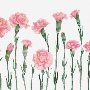 Rosa Nelken Wildblumen Botanische Kreuzstich Nähen Moderne Stickerei Muster DMC Download Blumenstrauß Anfänger