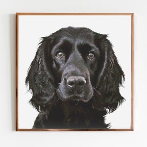 Black Cocker Spaniel Dog Cross Stitch Pattern Sewing Embroidery DMC Wildlife Animal Nursery Artwork Scandi Doggo Minimal Puppy Pet Gift