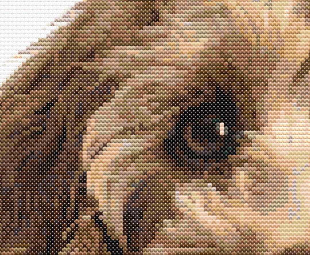 コッカープー C 犬 クロスステッチ パターン 縫製 刺繍 DMC 野生動物