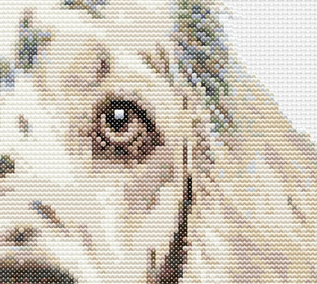 Eiialerm Kit Punto Croce Bulldog Inglese – Tela Prestampata 11CT 40x50cm – Per Adulti E Principianti