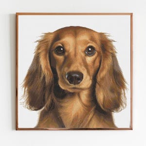 Könnte beinhalten: Gerahmter Druck mit einem detaillierten Porträt eines langhaarigen Dackels. Der Hund hat ein braunes Fell, lange Schlappohren und eine dunkle Nase. Das Kunstwerk ist vor einem weißen Hintergrund mit einem braunen Rahmen.