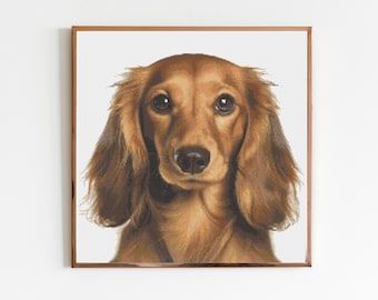 May include: A framed print featuring a detailed portrait of a long-haired dachshund dog. The dog has a brown coat, long floppy ears, and a dark nose. The artwork is set against a white background, with a brown frame.