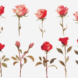 Rote Rosen Wildblumen Botanische Kreuzstich Nähen Moderne Stickerei Muster DMC Download Blumenstrauß Anfänger