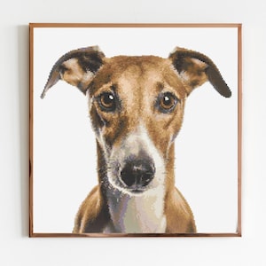 May include: A close-up portrait of a brown and white dog with large, dark eyes. The dog is looking directly at the camera with a curious expression.