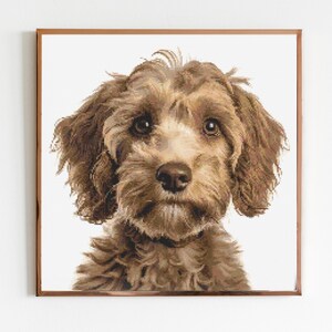 Cockerpoo C Hund Korsstygn Mönster Sömnad Broderi DMC Vilda Djur Afrika Australien Barnrumskonst Skandinavien Hund Minimal Hund Husdjur Gåva