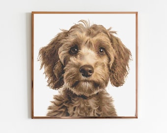 Cockerpoo C Dog Cross Stitch Pattern Sewing Embroidery DMC Wildlife Africa Australia Nursery Artwork Scandi Doggo Minimal Dog Pet Gift