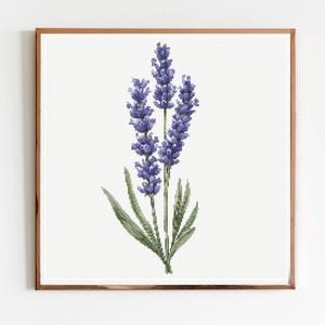 Lavendel botanische kruissteek naaien modern borduurpatroon Instant DMC download bos bloemen voor beginners