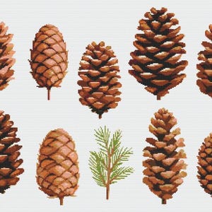 Dennenappels kruissteek naaien modern borduurpatroon Instant DMC download bos bloemen voor beginners