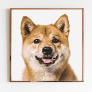 May include: A close-up portrait of a Shiba Inu dog with brown fur and a white chest. The dog is smiling with its tongue sticking out.