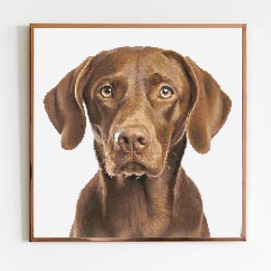 Brown Labrador Cross Stitch Pattern Sewing Embroidery DMC Wildlife Africa Animal Nursery Artwork Scandi Doggo Minimal Dog Pet Gift