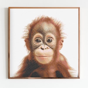 Peut inclure: Portrait rapproché d'un jeune orang-outan à la fourrure brun rougeâtre. L'orang-outan a de grands yeux sombres et une expression douce. L'image est encadrée dans un cadre simple de couleur cuivre.