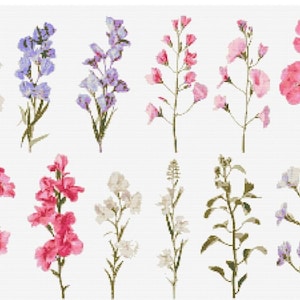 Matthiola aka Stocks Wildblumen Botanische Kreuzstich Nähen Moderne Stickerei Muster DMC Download Blumenstrauß Anfänger